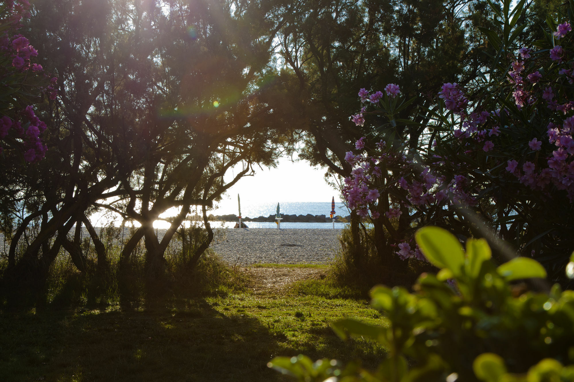 Residence Casabianca Porto San Giorgio Zewnętrze zdjęcie